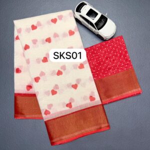 SKS01
